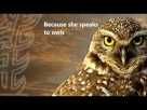 Owl Dance Trailer