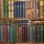 The Bookshelf in the Par…
