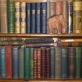 The Bookshelf in the Parlor